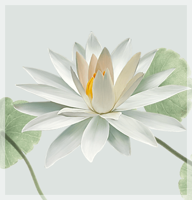 home_yoga_lotus2