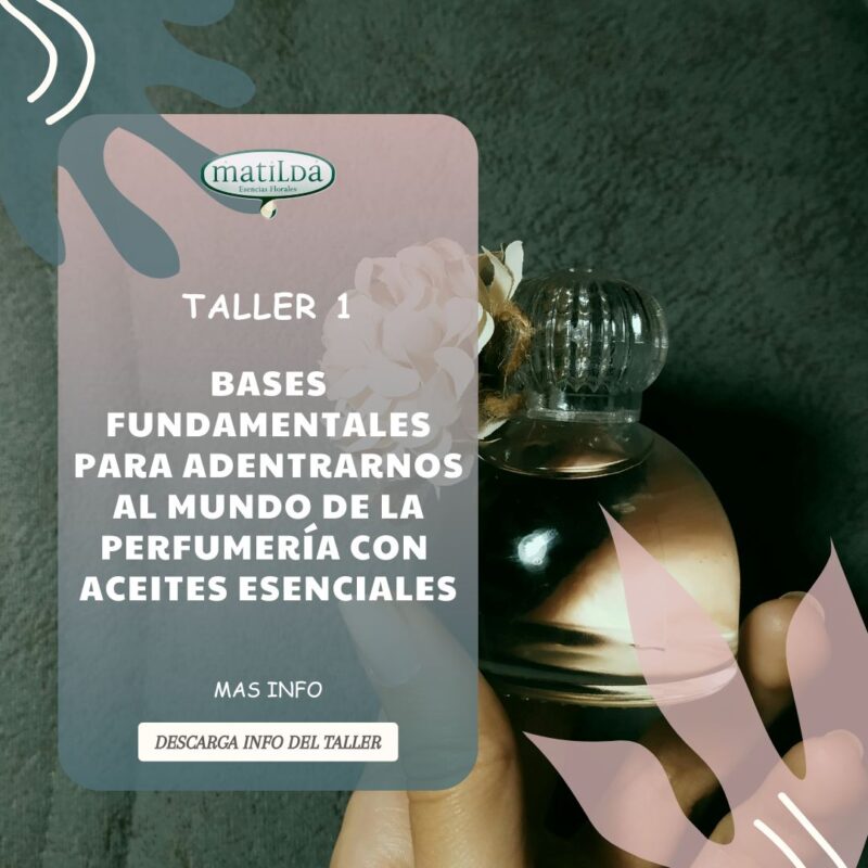 Aceites Esenciales Aromaterapia Esencias Matilda - Taller Perfumería
